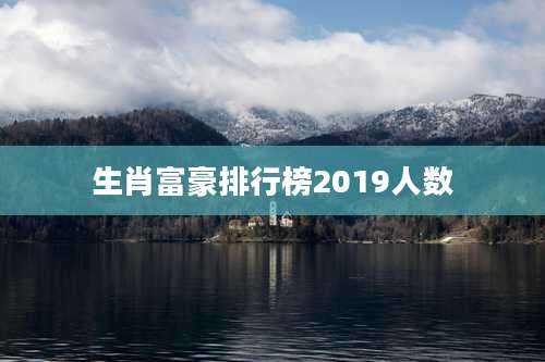 生肖富豪排行榜2019人数