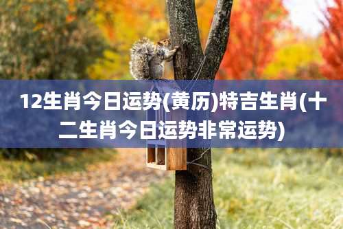 12生肖今日运势(黄历)特吉生肖(十二生肖今日运势非常运势)
