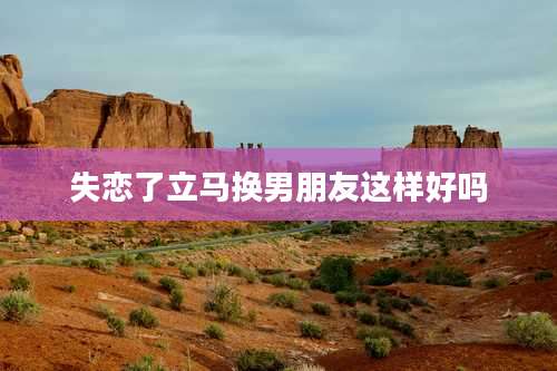 失恋了立马换男朋友这样好吗