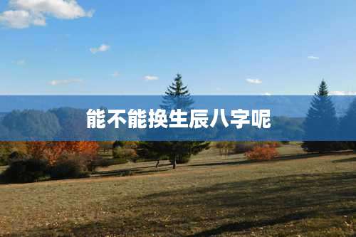 能不能换生辰八字呢