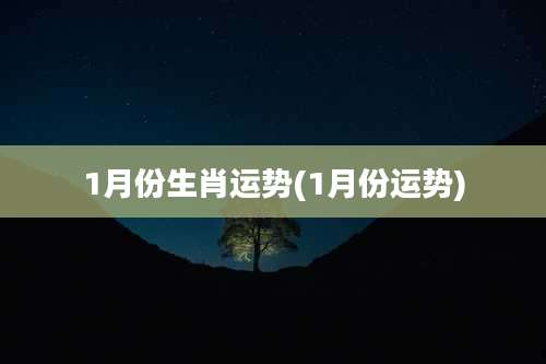1月份生肖运势(1月份运势)