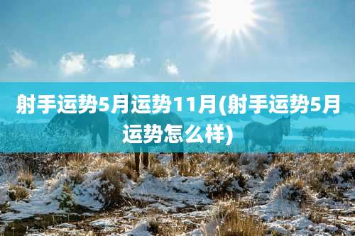 射手运势5月运势11月(射手运势5月运势怎么样)