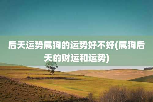 后天运势属狗的运势好不好(属狗后天的财运和运势)