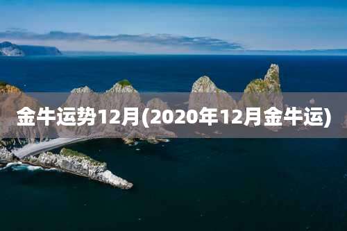金牛运势12月(2020年12月金牛运)