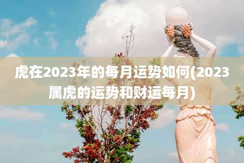 虎在2023年的每月运势如何(2023属虎的运势和财运每月)