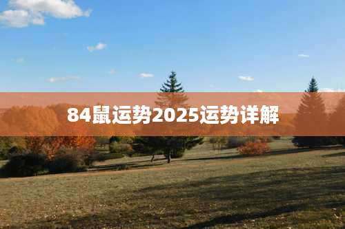 84鼠运势2025运势详解