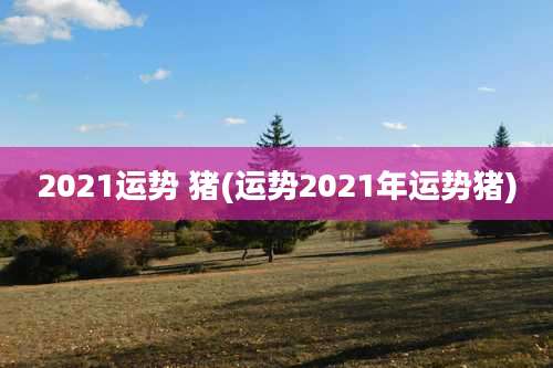 2021运势 猪(运势2021年运势猪)