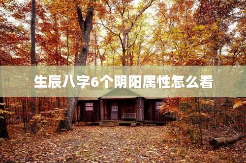 生辰八字6个阴阳属性怎么看