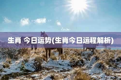 生肖 今日运势(生肖今日运程解析)