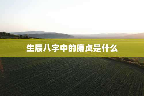 生辰八字中的廉贞是什么