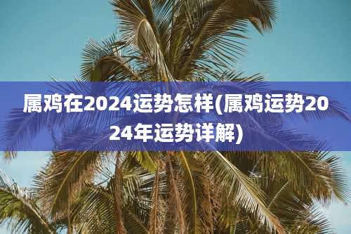 属鸡在2024运势怎样(属鸡运势2024年运势详解)
