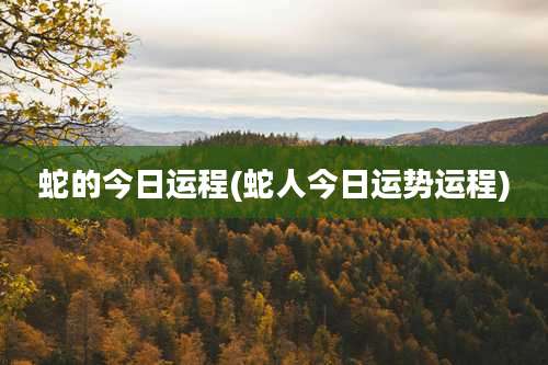 蛇的今日运程(蛇人今日运势运程)