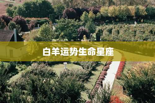 白羊运势生命星座