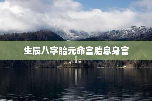 生辰八字胎元命宫胎息身宫