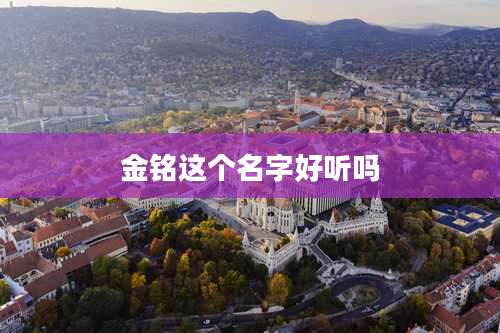 金铭这个名字好听吗