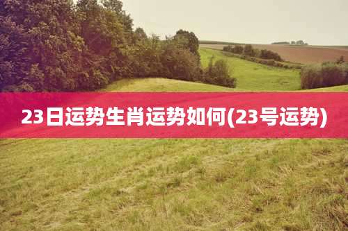 23日运势生肖运势如何(23号运势)