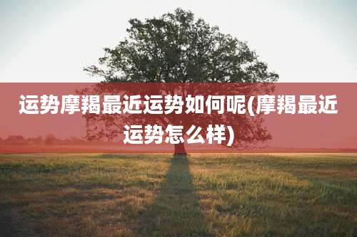 运势摩羯最近运势如何呢(摩羯最近运势怎么样)