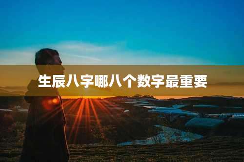 生辰八字哪八个数字最重要