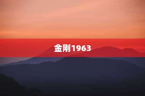金刚1963