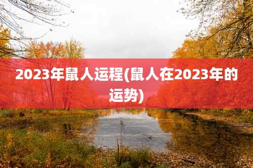 2023年鼠人运程(鼠人在2023年的运势)