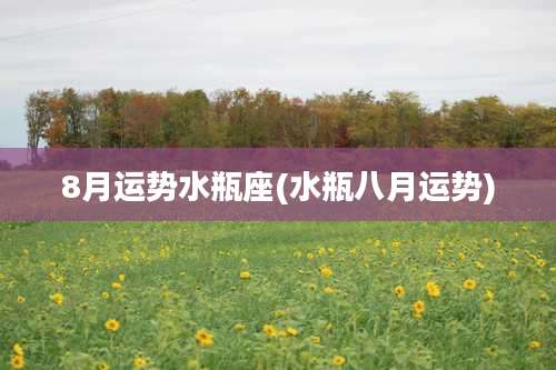 8月运势水瓶座(水瓶八月运势)