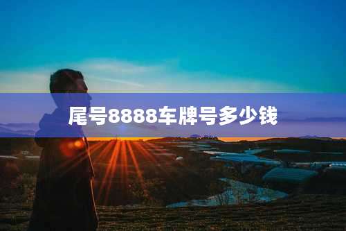 尾号8888车牌号多少钱