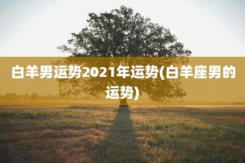 白羊男运势2021年运势(白羊座男的运势)