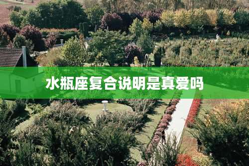 水瓶座复合说明是真爱吗