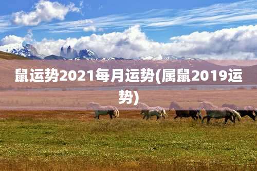 鼠运势2021每月运势(属鼠2019运势)