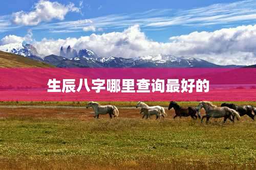 生辰八字哪里查询最好的