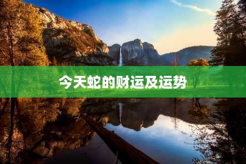 今天蛇的财运及运势
