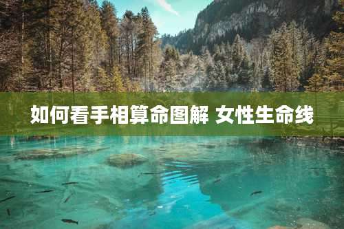 如何看手相算命图解 女性生命线