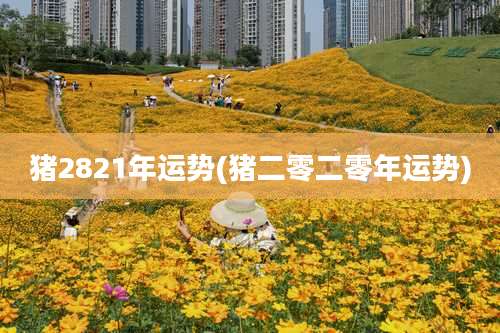 猪2821年运势(猪二零二零年运势)