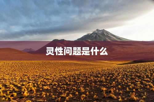 灵性问题是什么