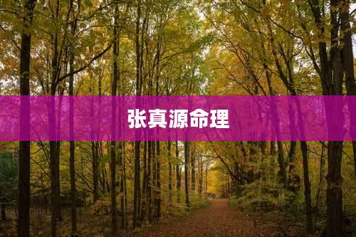 张真源命理