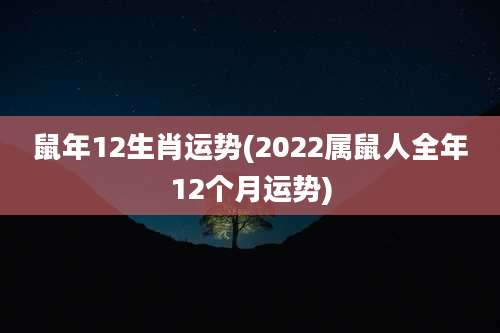鼠年12生肖运势(2022属鼠人全年12个月运势)