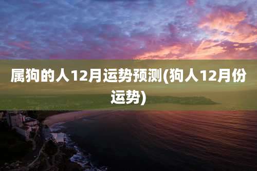 属狗的人12月运势预测(狗人12月份运势)