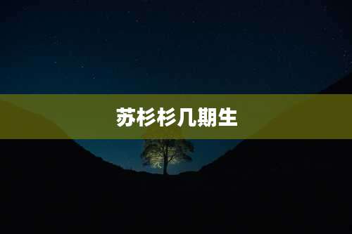 苏杉杉几期生