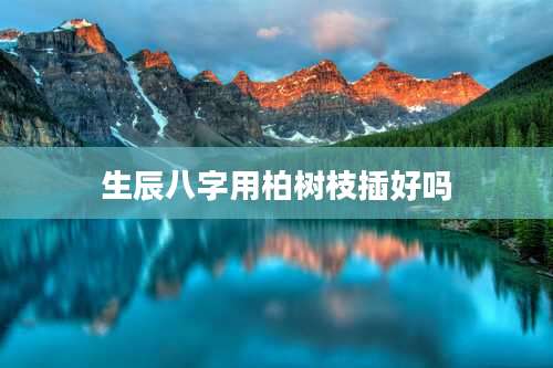 生辰八字用柏树枝插好吗