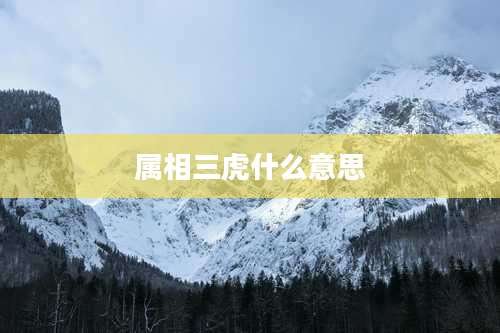 属相三虎什么意思