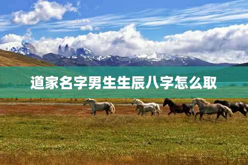 道家名字男生生辰八字怎么取