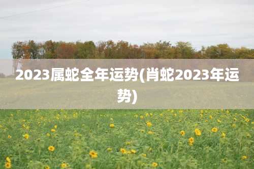 2023属蛇全年运势(肖蛇2023年运势)