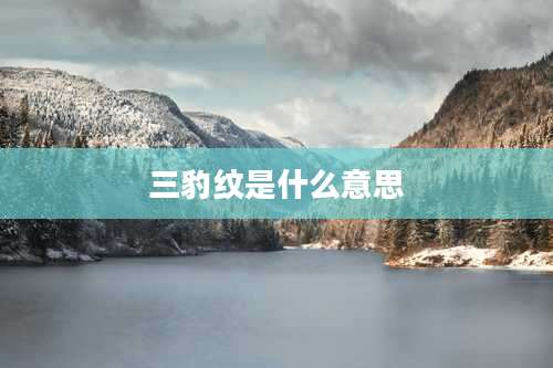 三豹纹是什么意思