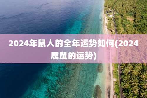 2024年鼠人的全年运势如何(2024属鼠的运势)