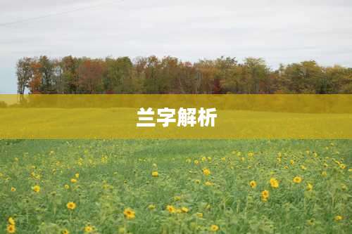 兰字解析