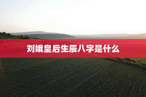 刘娥皇后生辰八字是什么