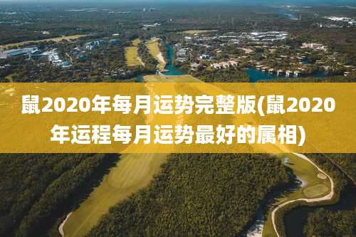 鼠2020年每月运势完整版(鼠2020年运程每月运势最好的属相)