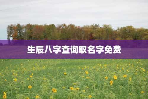 生辰八字查询取名字免费