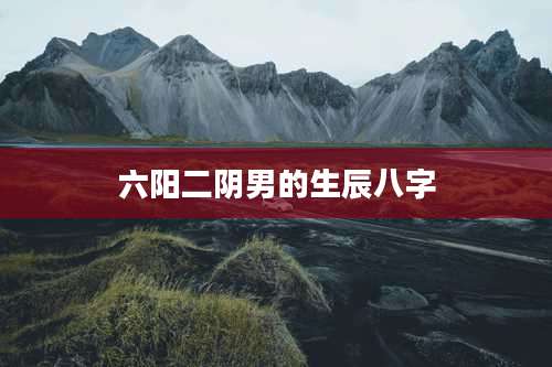 六阳二阴男的生辰八字