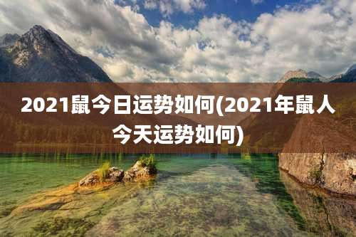 2021鼠今日运势如何(2021年鼠人今天运势如何)
